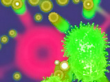 Nuclearoids